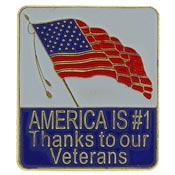 THANK A VET PIN  