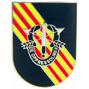 SPECIAL FORCES PIN  