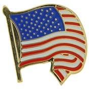 WAVY FLAG PIN  