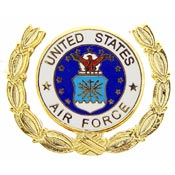 USAF LOGO WREATH PIN 1"  