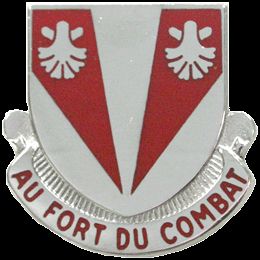 489 ENGR BN USAR  (AU FORT DU COMBAT)   