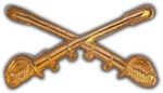 CROSSED SABRES PIN  